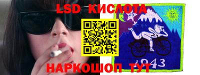 шишки Можга