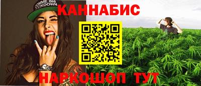 шишки Можга