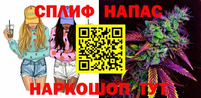 шишки Можга