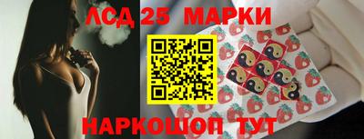 шишки Можга