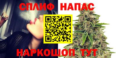 шишки Можга