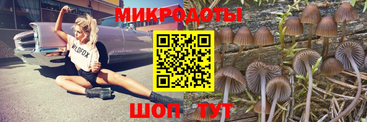 Уссурийск  Галлюциногенные грибы Psilocybine cubensis  Вход с VPN 